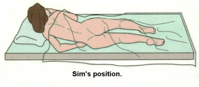 File:Sims position.jpg