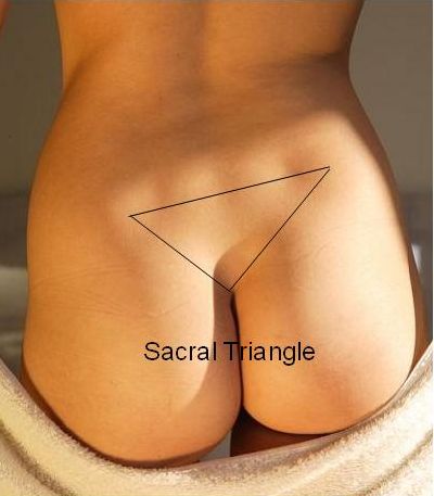 File:Back-sacral.jpg