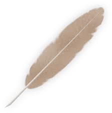 File:Feather.jpg