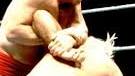 Wrestling hammerlock