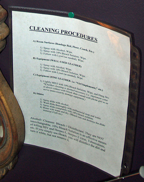 File:BDSM Dungeon Cleaning Procedures.jpg