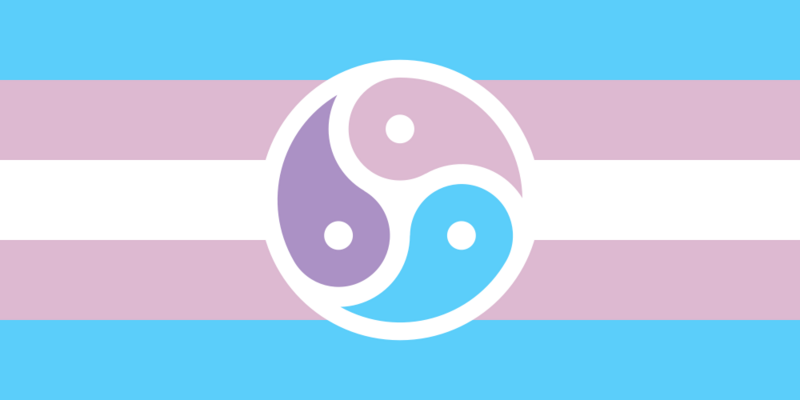 File:Transgender Bisexual BDSM Pride Flag.png