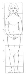 Body proportions of a 10-year-old girl in front view.