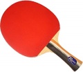 Ping-pong paddle