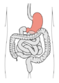 Thumbnail for version as of 19:41, 2 November 2021