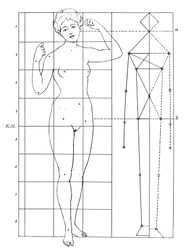 Body proportions of an 18-year-old woman.