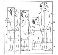 Children's body proportions at age 5, 4, 2, 6.