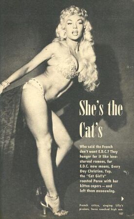 Magazine article