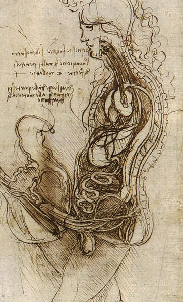 File:Coition of a Hemisected Man and Woman.jpg