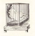 Thumbnail for version as of 12:27, 27 November 2021
