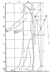 Body proportions of a 15-year-old boy.