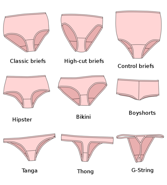 File:Panties styles - en.svg.png