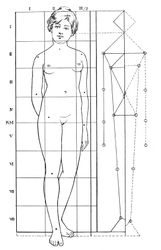 Body proportions of a 15-year-old girl.