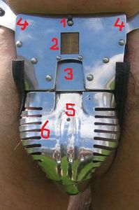 12.Front view of the protector. The various numbers, indicating crucial parts of the ingenious locking system of the belt, are explained in the text to the left