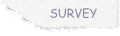 customersurveybusiness