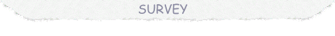 Customer Service Survey