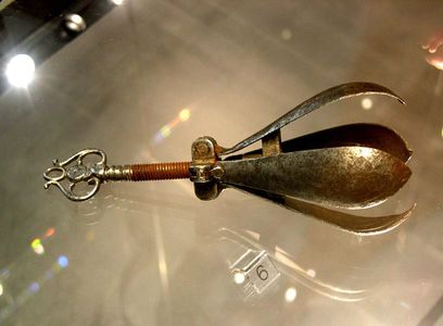 Oral pear-01.jpg
