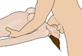 Thumbnail for version as of 01:18, 2 December 2020