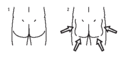 Thumbnail for version as of 00:06, 14 October 2019
