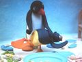 Penguins